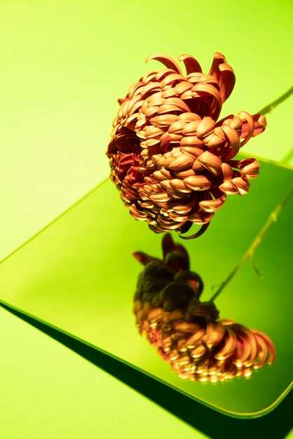 Massive Steel Bloom – Engineering & Artistry in a Giant Floral Sculpture